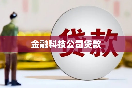 复兴金融科技公司贷款