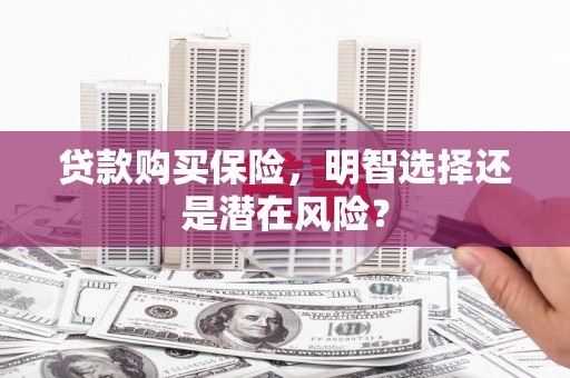 复兴贷款购买保险，明智选择还是潜在风险？
