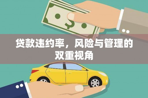复兴贷款违约率，风险与管理的双重视角