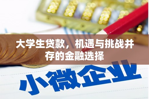 复兴大学生贷款，机遇与挑战并存的金融选择