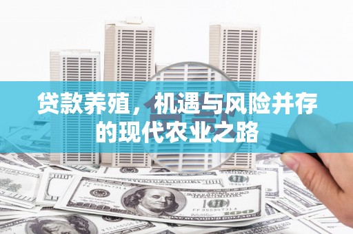复兴贷款养殖，机遇与风险并存的现代农业之路