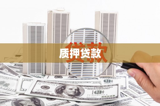 复兴质押贷款