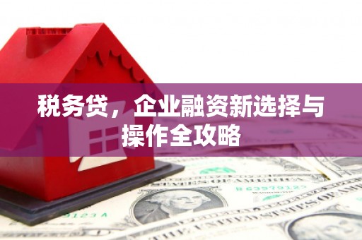 复兴税务贷，企业融资新选择与操作全攻略