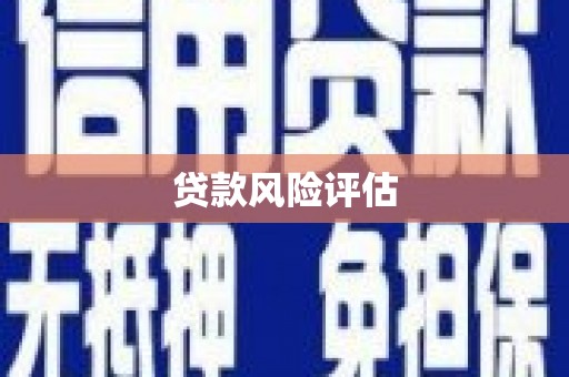 复兴贷款风险评估