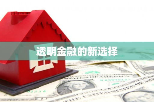 复兴透明金融的新选择