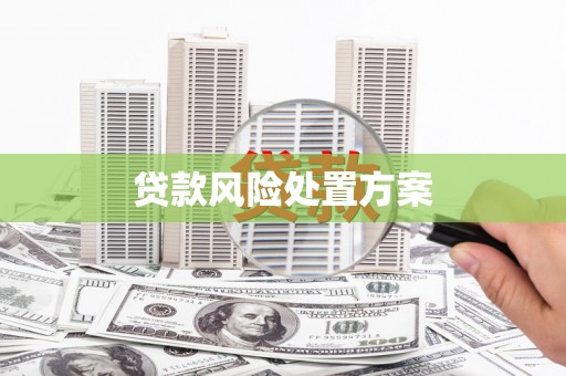 复兴贷款风险处置方案