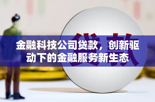 复兴金融科技公司贷款，创新驱动下的金融服务新生态