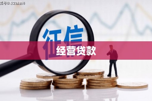复兴经营贷款