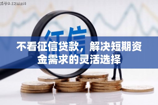 复兴不看征信贷款，解决短期资金需求的灵活选择