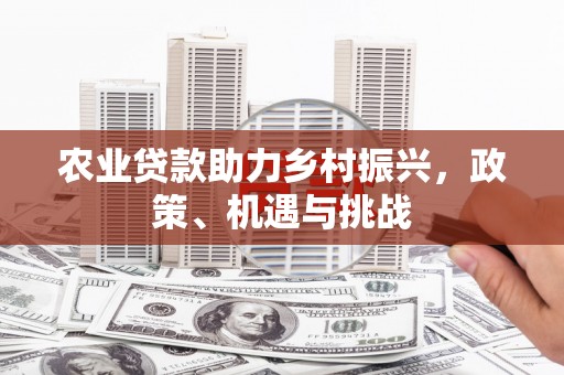 复兴农业贷款助力乡村振兴，政策、机遇与挑战