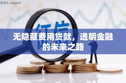 复兴无隐藏费用贷款，透明金融的未来之路