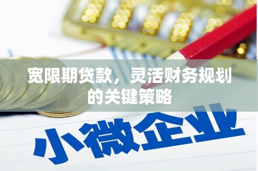 复兴宽限期贷款，灵活财务规划的关键策略