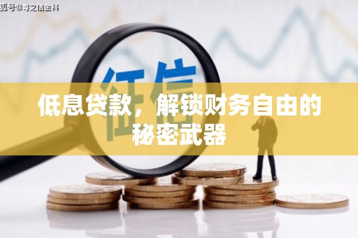 复兴低息贷款，解锁财务自由的秘密武器