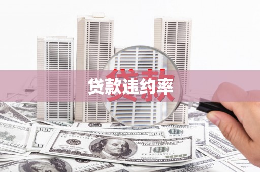 复兴贷款违约率