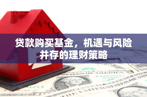 复兴贷款购买基金，机遇与风险并存的理财策略