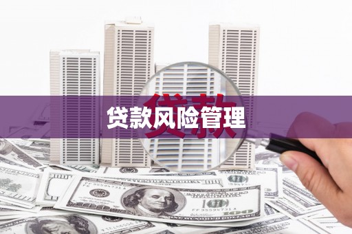 复兴贷款风险管理