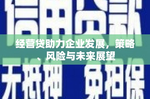 复兴经营贷助力企业发展，策略、风险与未来展望