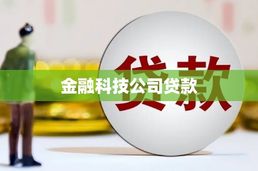 复兴金融科技公司贷款