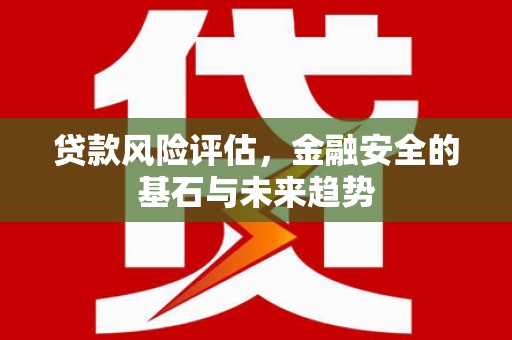 复兴贷款风险评估，金融安全的基石与未来趋势