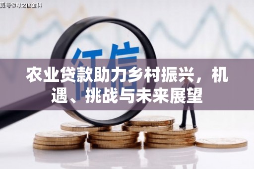 复兴农业贷款助力乡村振兴，机遇、挑战与未来展望
