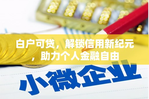复兴白户可贷，解锁信用新纪元，助力个人金融自由
