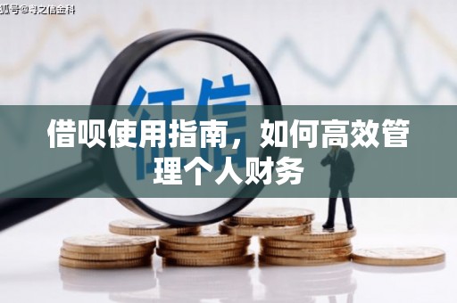 复兴借呗使用指南，如何高效管理个人财务