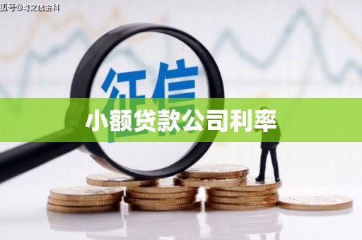 复兴小额贷款公司利率