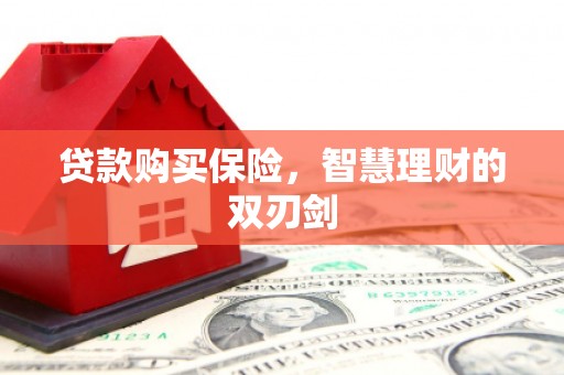 复兴贷款购买保险，智慧理财的双刃剑