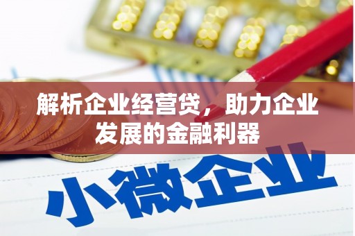 复兴解析企业经营贷，助力企业发展的金融利器
