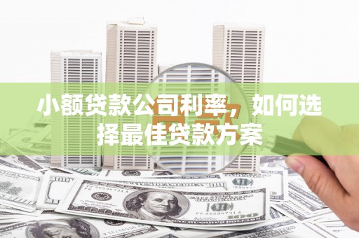 复兴小额贷款公司利率，如何选择最佳贷款方案