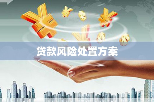 复兴贷款风险处置方案