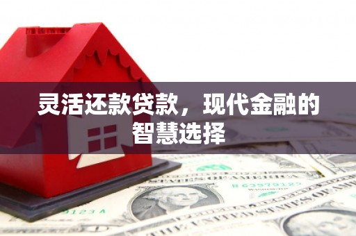 复兴灵活还款贷款，现代金融的智慧选择