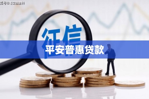 复兴平安普惠贷款