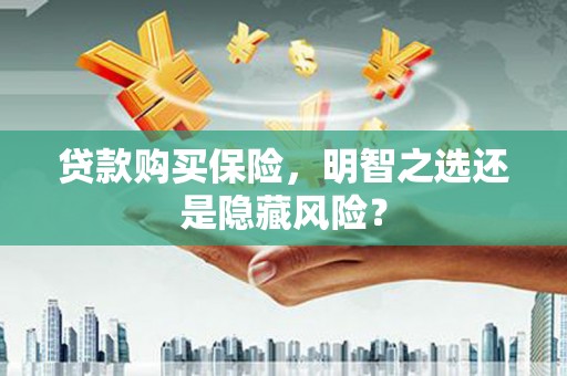 复兴贷款购买保险，明智之选还是隐藏风险？