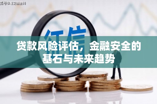 复兴贷款风险评估，金融安全的基石与未来趋势
