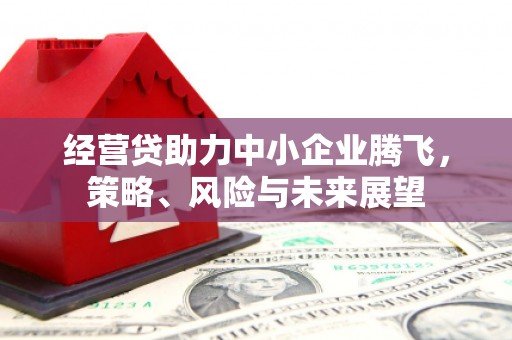复兴经营贷助力中小企业腾飞，策略、风险与未来展望