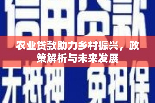复兴农业贷款助力乡村振兴，政策解析与未来发展