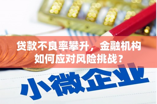 复兴贷款不良率攀升，金融机构如何应对风险挑战？
