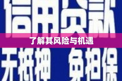 复兴了解其风险与机遇