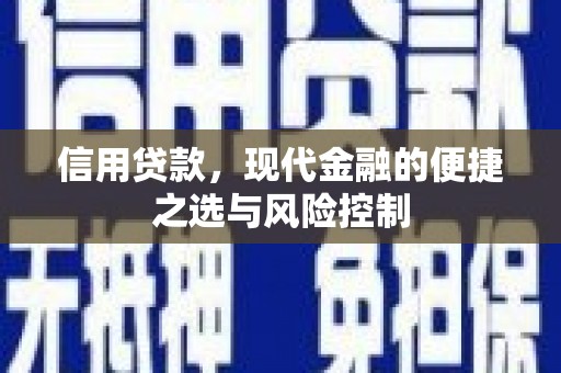 复兴信用贷款，现代金融的便捷之选与风险控制
