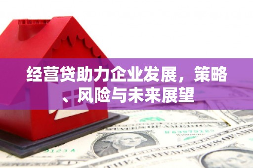 复兴经营贷助力企业发展，策略、风险与未来展望