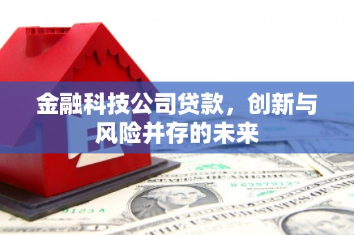 复兴金融科技公司贷款，创新与风险并存的未来