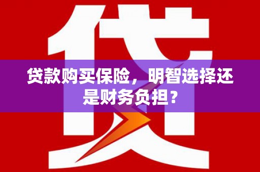 复兴贷款购买保险，明智选择还是财务负担？