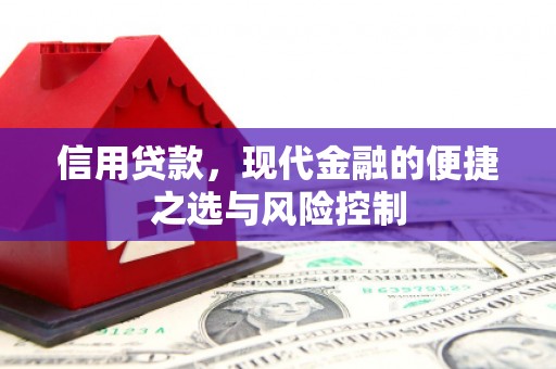 复兴信用贷款，现代金融的便捷之选与风险控制