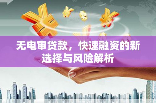 复兴无电审贷款，快速融资的新选择与风险解析
