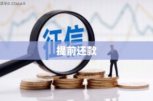 复兴提前还款