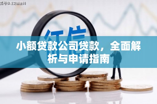 复兴小额贷款公司贷款，全面解析与申请指南