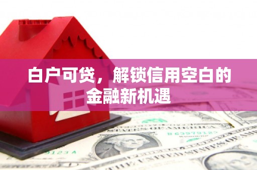 复兴白户可贷，解锁信用空白的金融新机遇