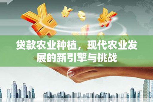 复兴贷款农业种植，现代农业发展的新引擎与挑战
