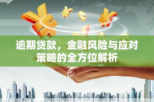 复兴逾期贷款，金融风险与应对策略的全方位解析